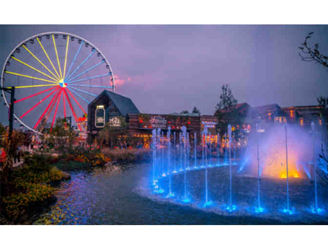 The Island in Pigeon Forge | Two Activity Passes (1 of 2)