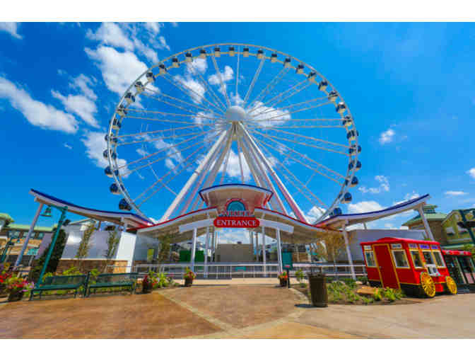 The Island in Pigeon Forge | Two Activity Passes (1 of 2)