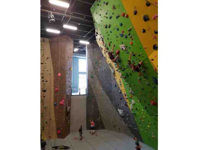 High Point Climbing and Fitness | Family Day Pass with Gear - Photo 7