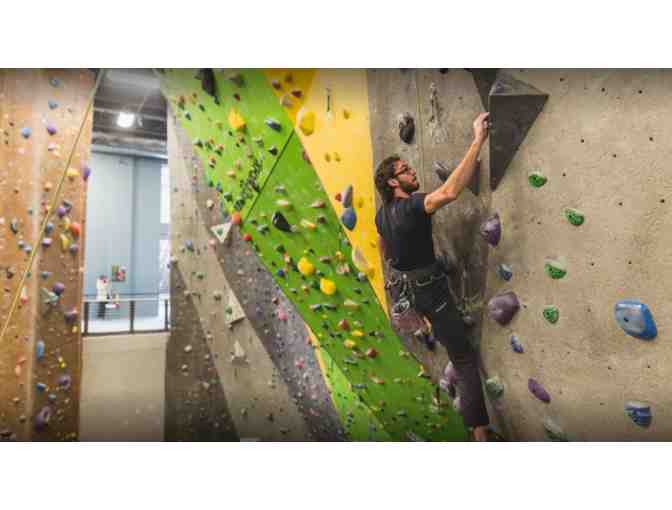 High Point Climbing and Fitness | Family Day Pass with Gear