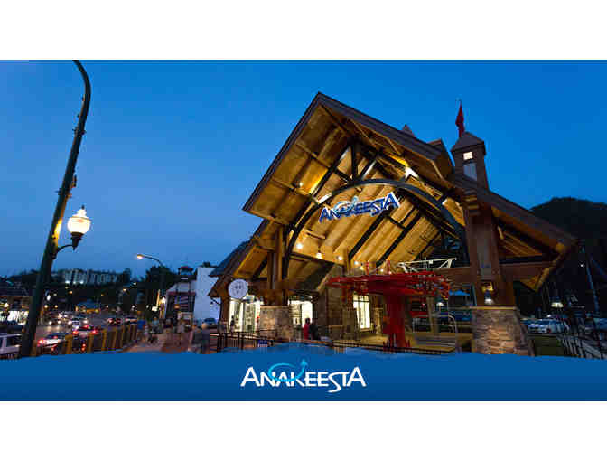 Anakeesta | Four Annual Passes with Gift Basket - Photo 1