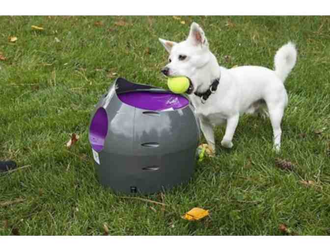 PetSafe | Automatic Ball Launcher Dog Toy