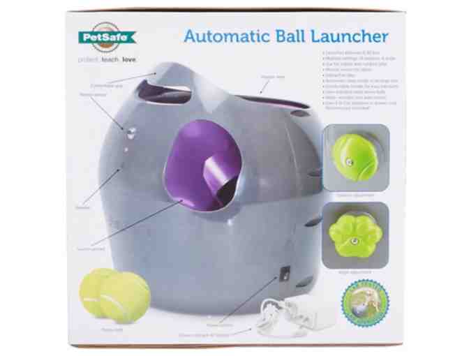 PetSafe | Automatic Ball Launcher Dog Toy