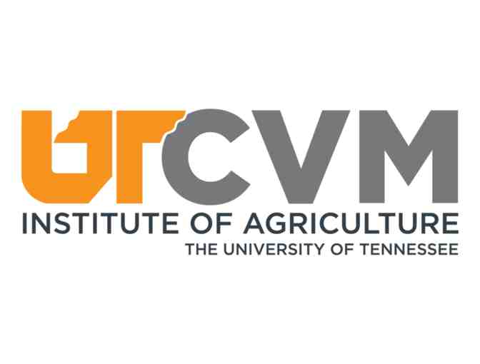 University of Tennessee College of Veterinary Medicine | Vet for a Day Experience