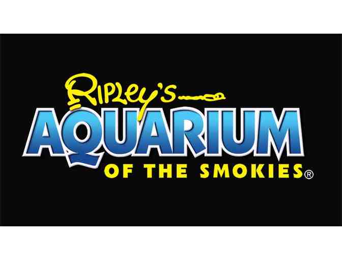 Ripley's Aquarium | Four Admission Passes & Glass Bottom Boat Adventure