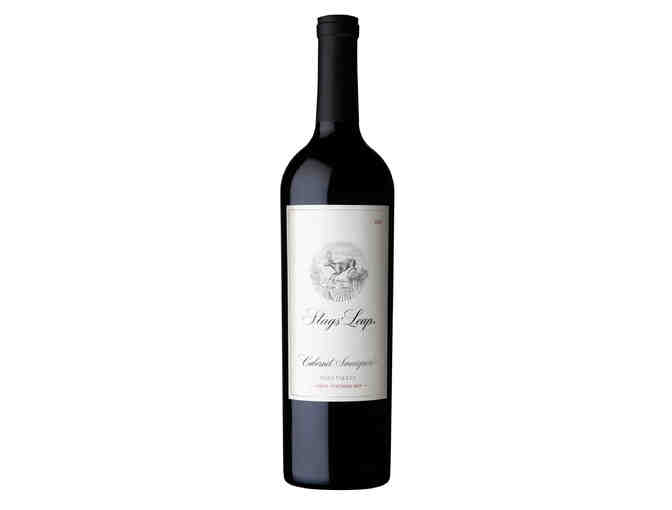 2015 Stags' Leap Cabernet Sauvignon Napa Valley - Photo 1