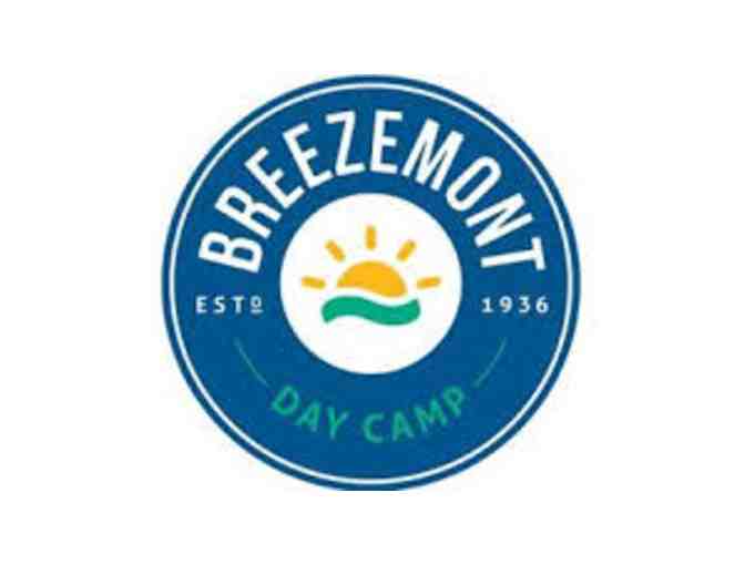 Breezemont Day Camp: 4 Weeks - Photo 1