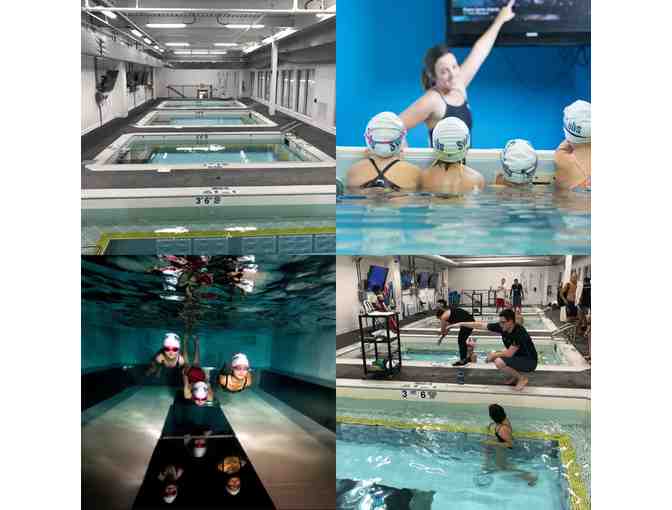 One month of group swim lessons, or 2 private lessons (Children and Adults)