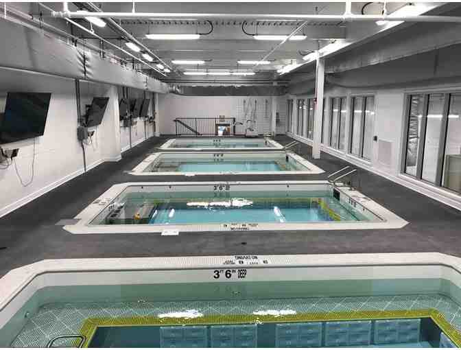 One month of group swim lessons, or 2 private lessons (Children and Adults)