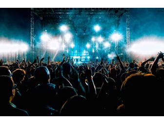 Electric Zoo Three-Day VIP Experience for Two (2)