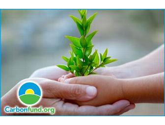 $25 for Eco-Friendly Products on Blissmo (2 of 2)