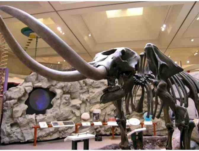 Family Fun int he Great Lakes Bay Region