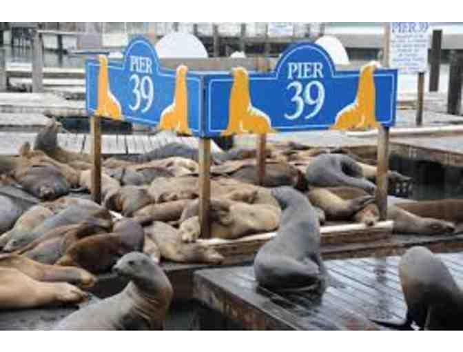 San Francisco Here I Come!