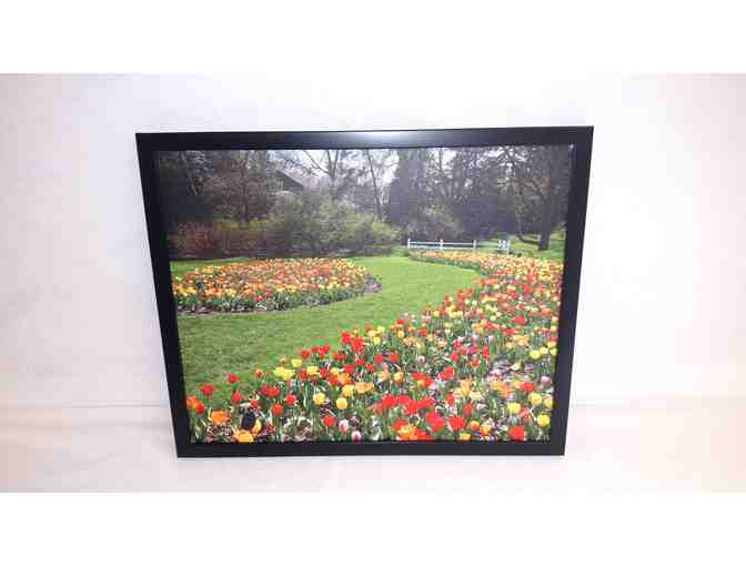 Dow Gardens Framed Photograph (18'L x 22'W)