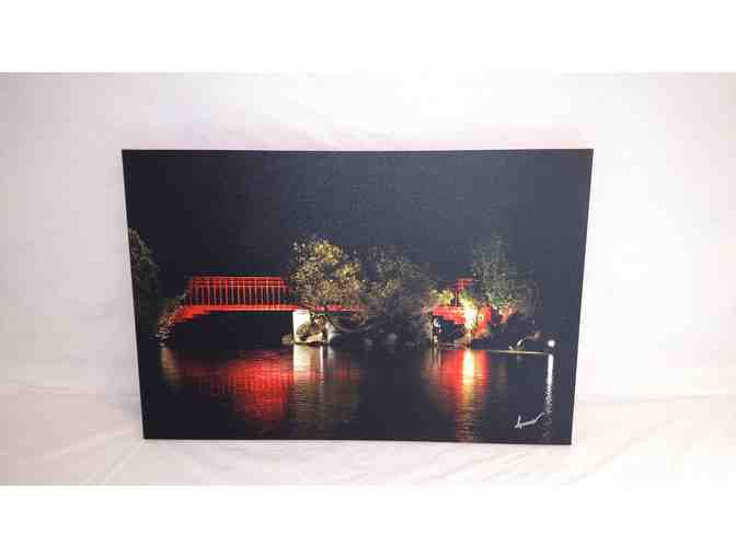 Beautiful Dow Gardens Photograph at Night Time (20'L x 30' W)