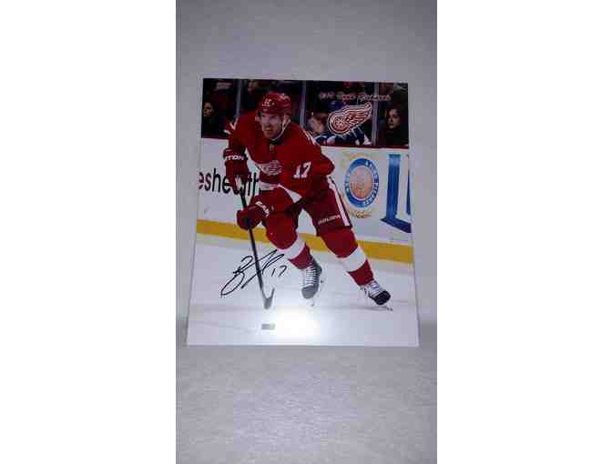 Red Wings Autographed Photo- Brad Richards #17