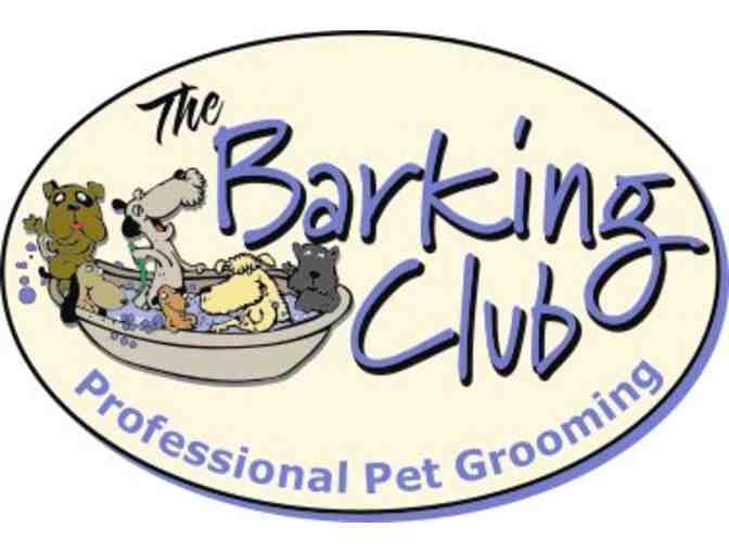 Hungry Hounds Elevated Dog Dish & The Barking Club $25 Gift Certificate