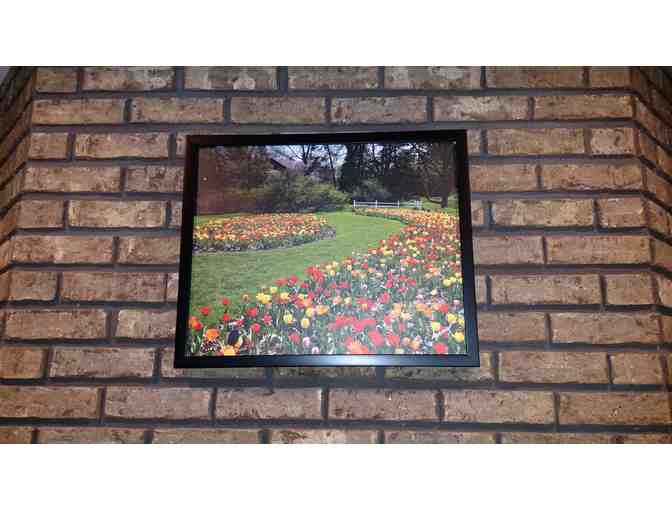 Dow Gardens Framed Photograph (18'L x 22'W)