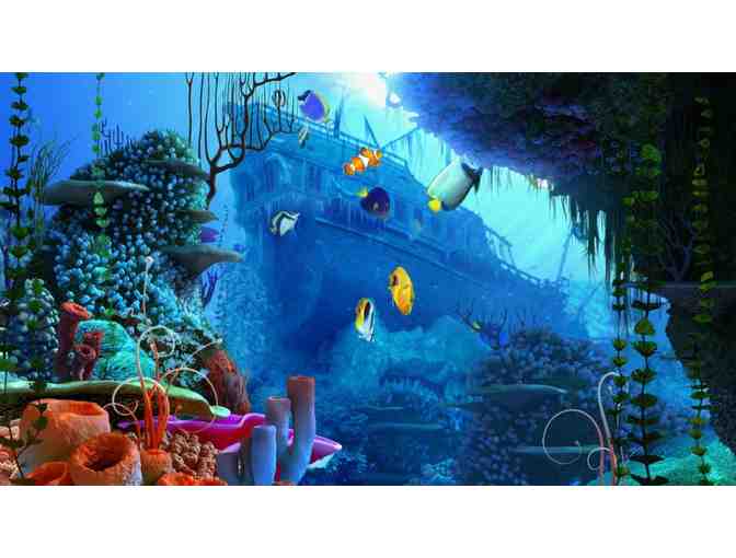 San Francisco Here I Come!