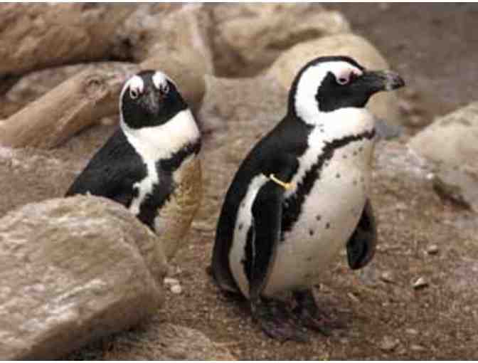 Toledo Zoo Family Membership