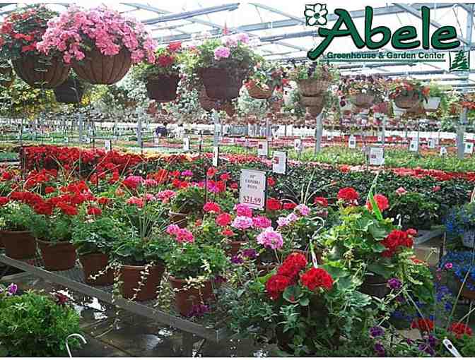Abele Green House $20 Gift Card
