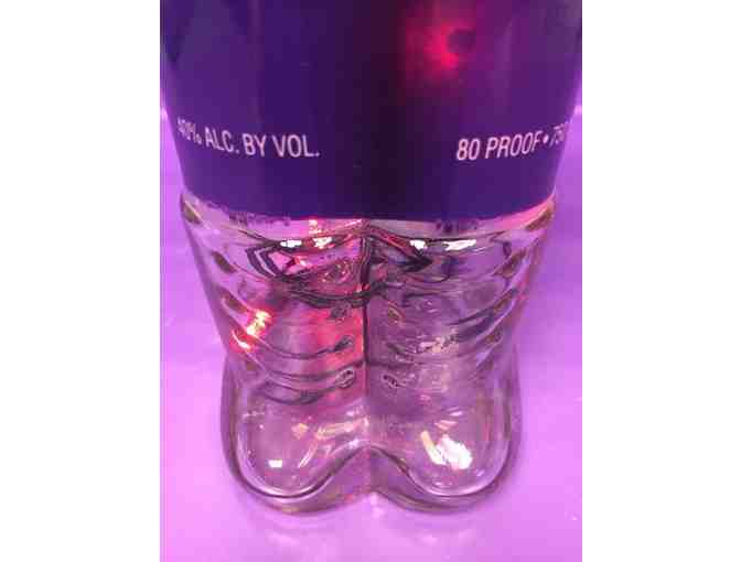 Re-purposed Vodka Bottle Soldier Light & 2 Wine Glasses