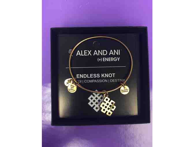 Alex and Ani Providence Collection