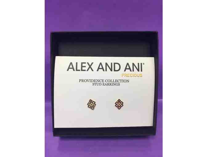 Alex and Ani Providence Collection