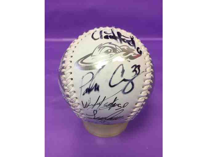 Great Lakes Loons Fan Package