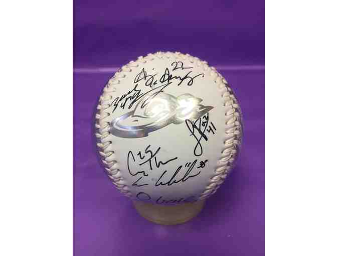 Great Lakes Loons Fan Package