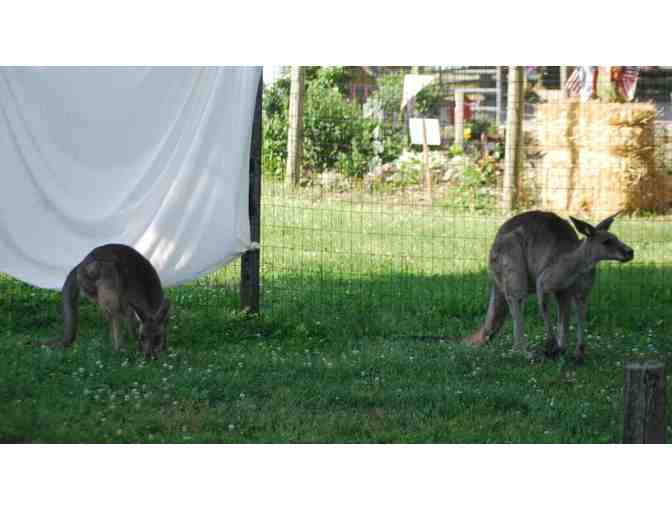 Saginaw Family Fun Package