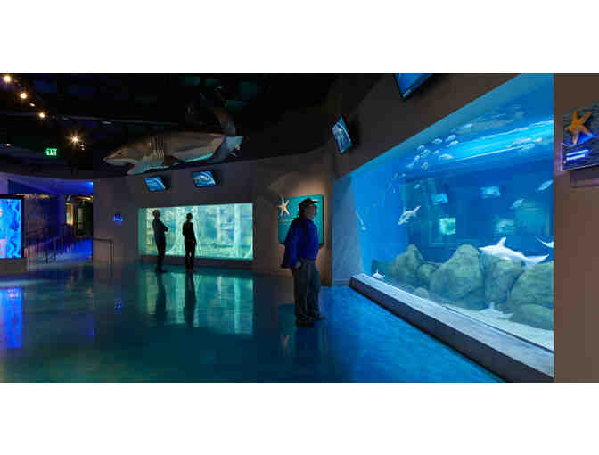 Toledo Zoo Family Membership