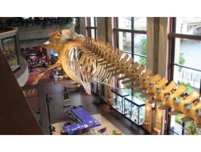 Family Day at the Grand Rapids Public Museum