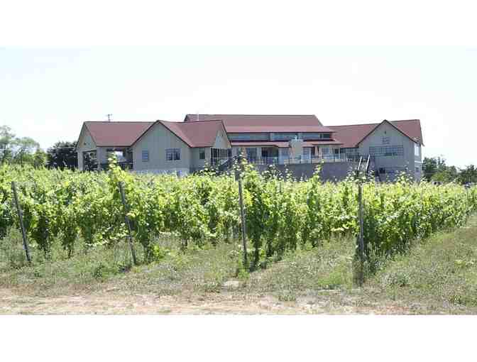 Private Tasting and Tour of Bonobo Winery for 4