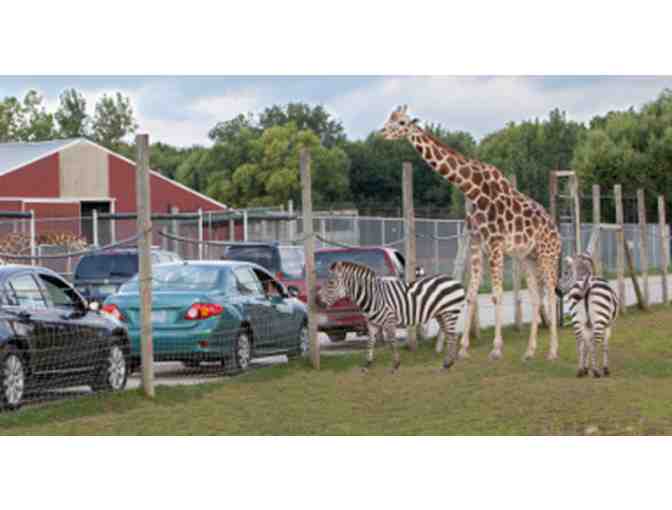 African Safari Wildlife Park VIP Car Pass