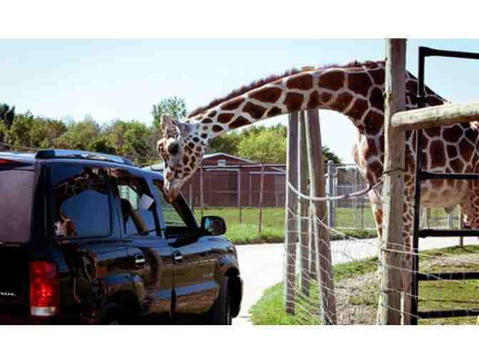 African Safari Wildlife Park VIP Car Pass
