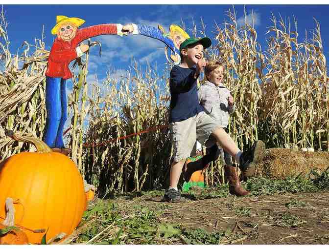 Frankenmuth Family Fun Day