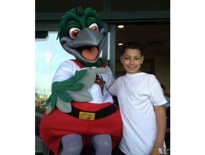 Great Lakes Loons Ultimate Fan Experience - Photo 2