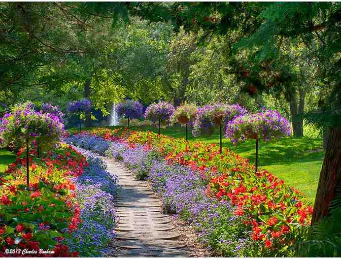 Dow Gardens Admission for Four and $20 Gift Card