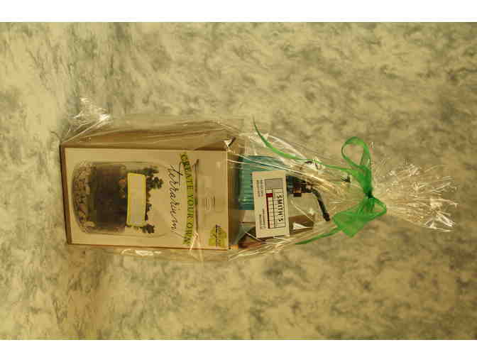 DIY Terrarium from Smith's Flowers & Gifts