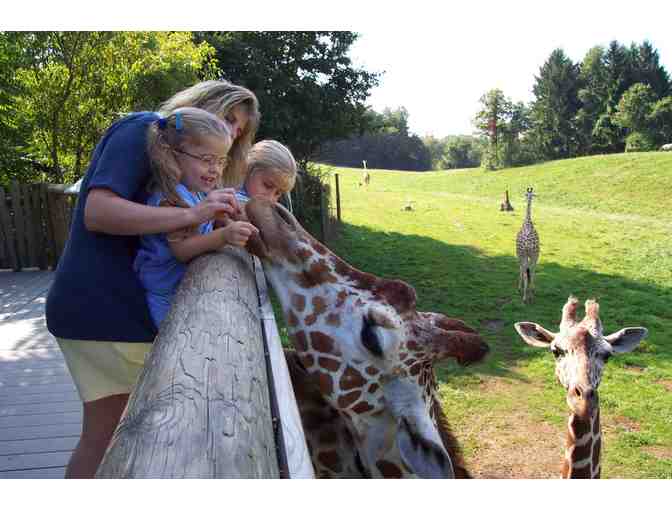 Family Day at Binder Park Zoo