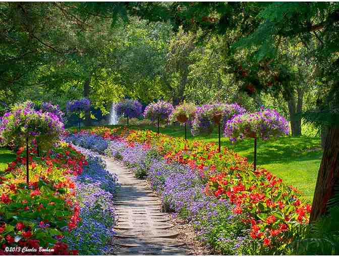 Gift Basket with Day Passes to Dow Gardens - Photo 4