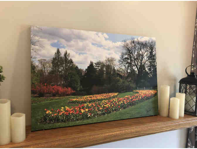 Beautiful Dow Gardens Photograph on Canvas