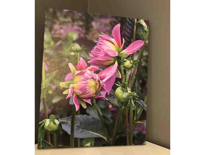 Pink Flower Canvas by Bob Spears