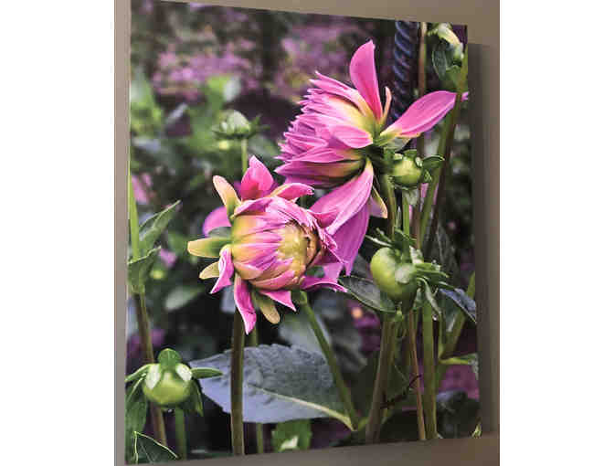Pink Flower Canvas by Bob Spears