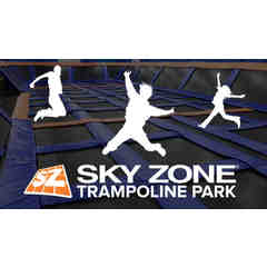 Sky Zone Trampoline Park