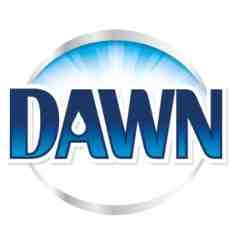 Sponsor: Dawn Dish Soap