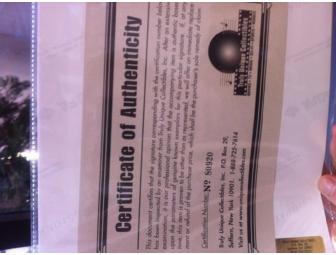 Certified Signed Photo of Jimmy Connors