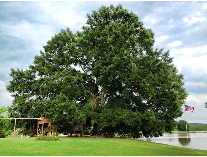 Weekend At 'The Cabin' on Lake Oconee