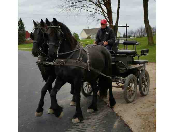 Horse drawn carriage ride for up to 4 people from Middlebrook Friesian Farm